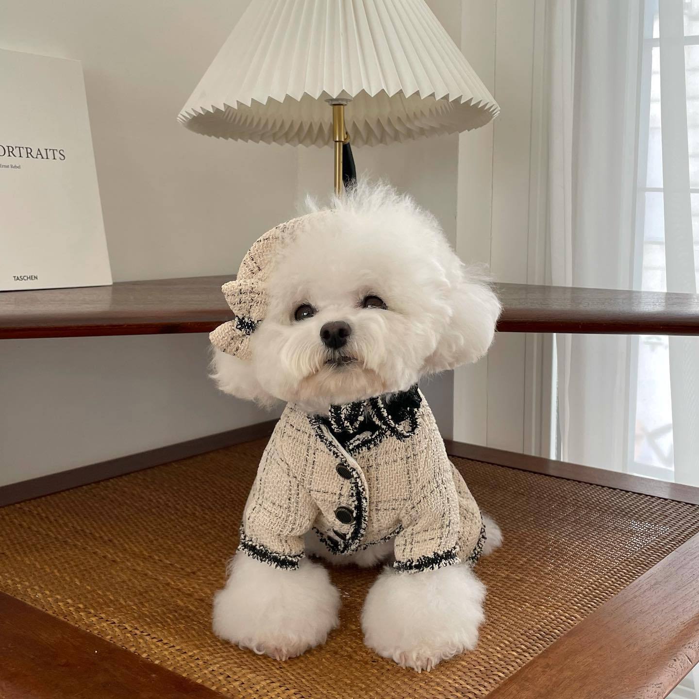 Ropa estilo clásico para mascotas