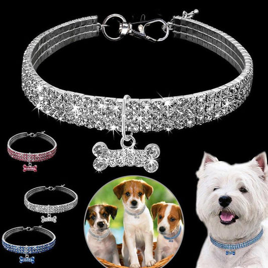 Collar con pedrería para perros