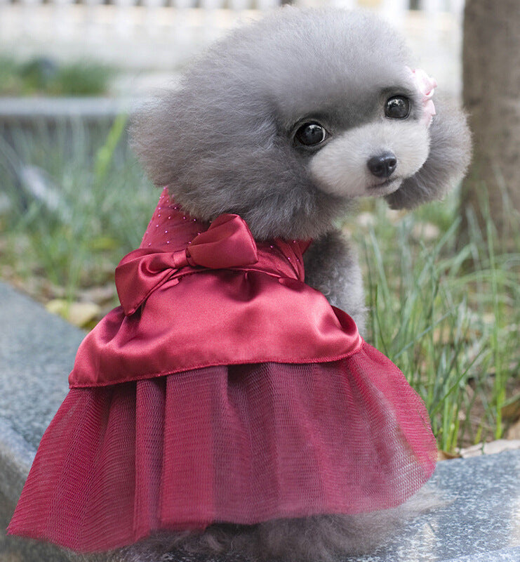 Vestido de fiesta para mascotas