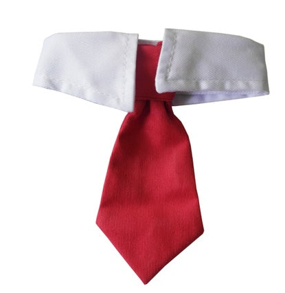 Corbata para mascotas