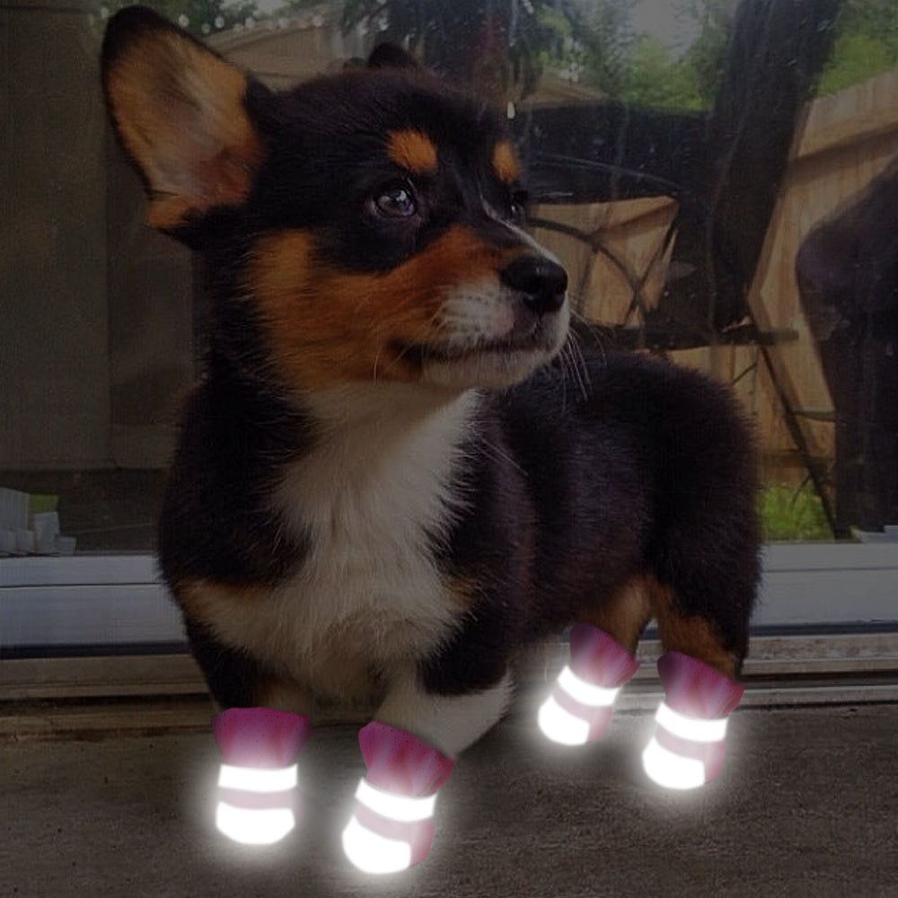 Zapatitos cómodos y transpirables para mascotas