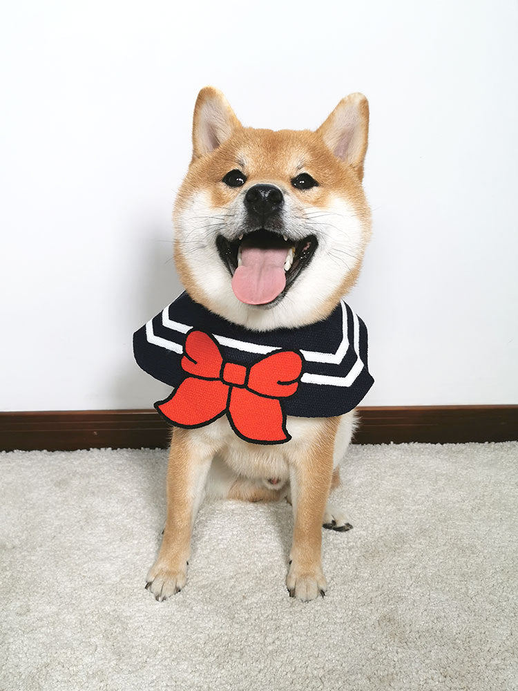 Cuellito de fantasia para mascotas