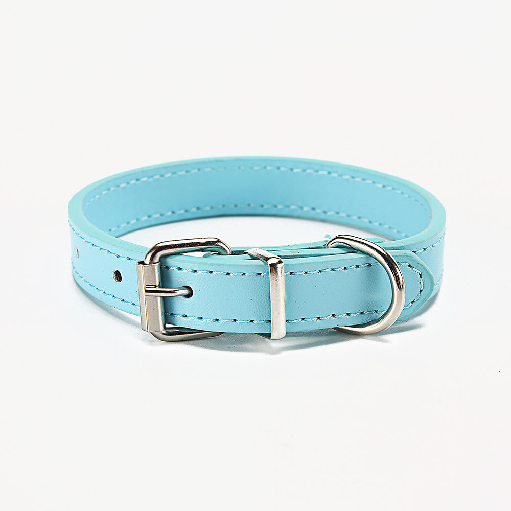 Collar clásico para mascotas
