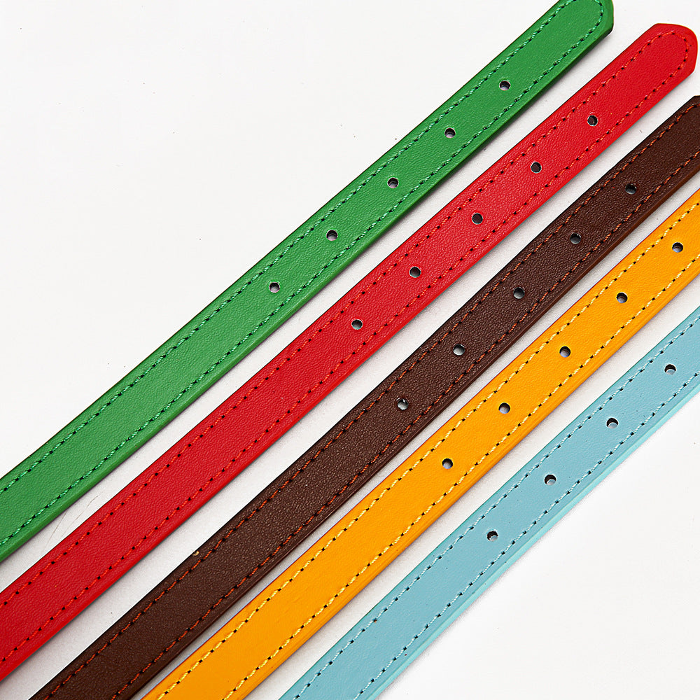 Collar clásico para mascotas