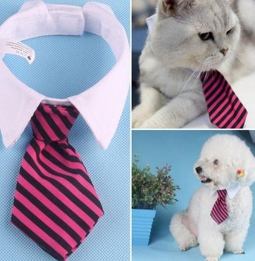 Corbata para mascotas