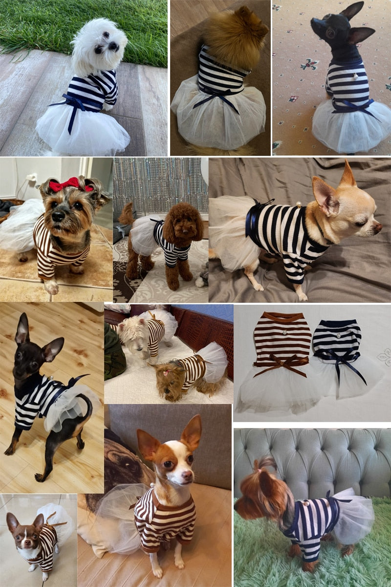Vestido a rayas para mascota