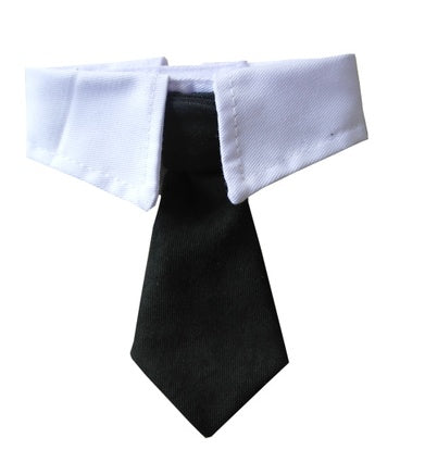 Corbata para mascotas