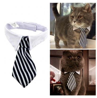 Corbata para mascotas
