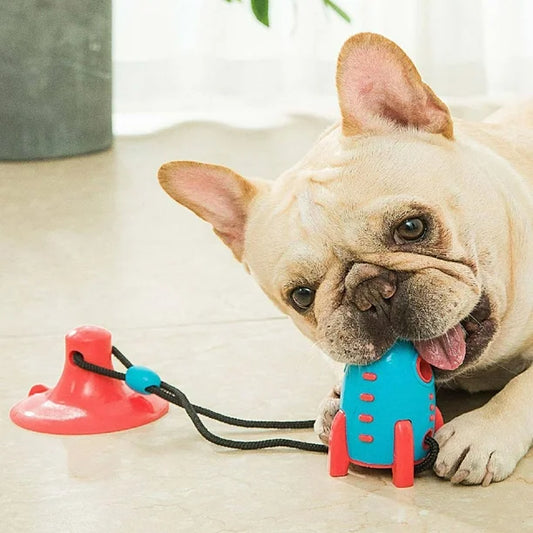 Jueguete interactivo para mascotas