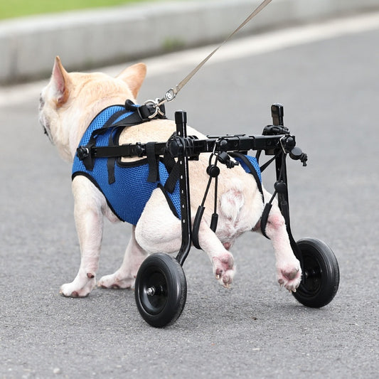 Silla de ruedas para mascotas discapacitadas