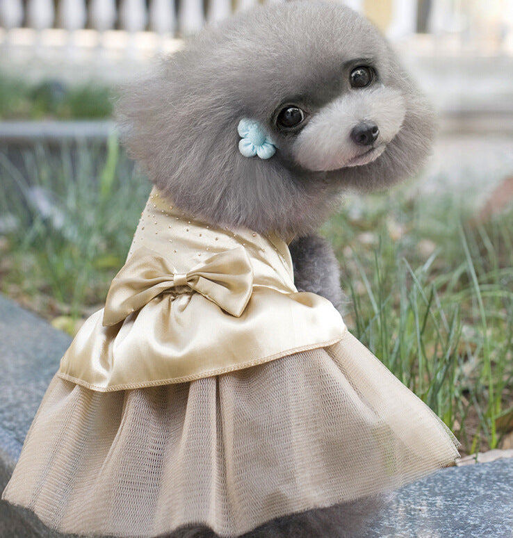Vestido de fiesta para mascotas
