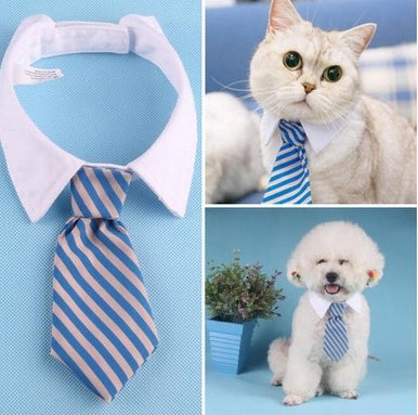 Corbata para mascotas