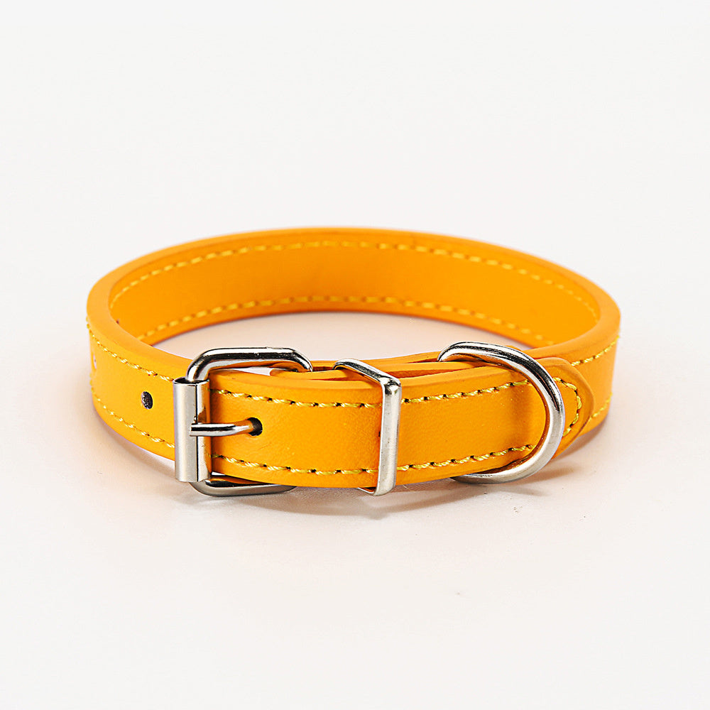 Collar clásico para mascotas
