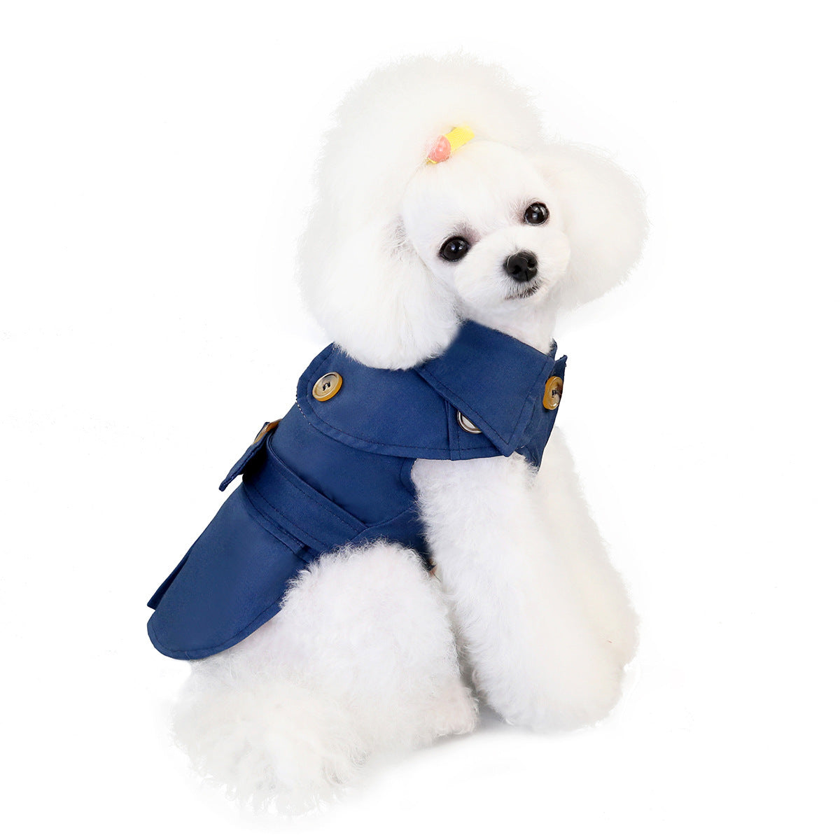 Gabardina para mascotas