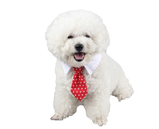Corbata para mascotas