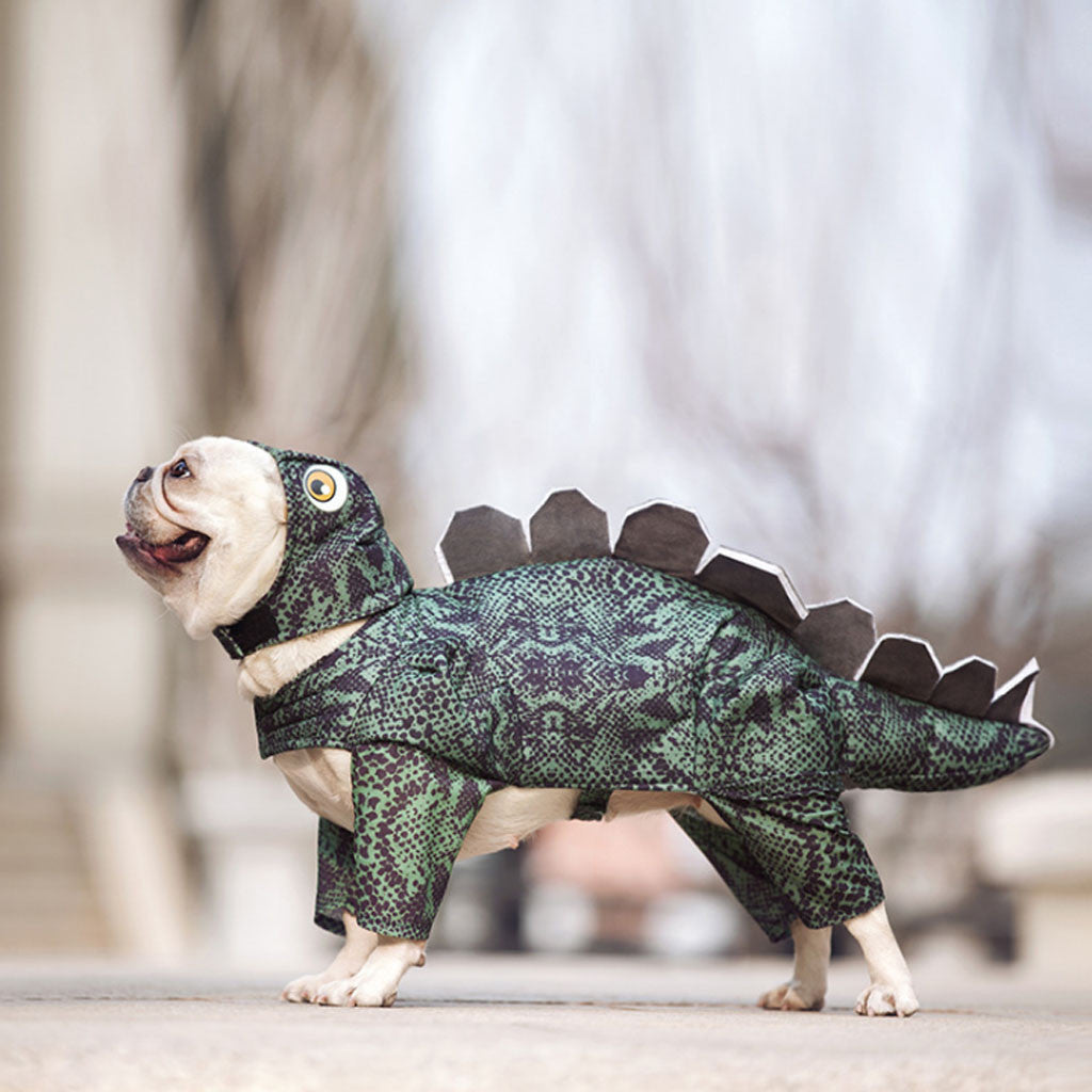 Traje de Dinosaurio