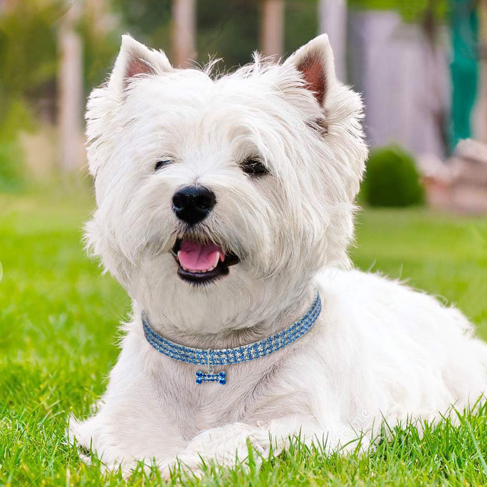 Collar con pedrería para perros