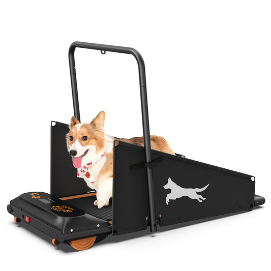 Caminadora para mascotas
