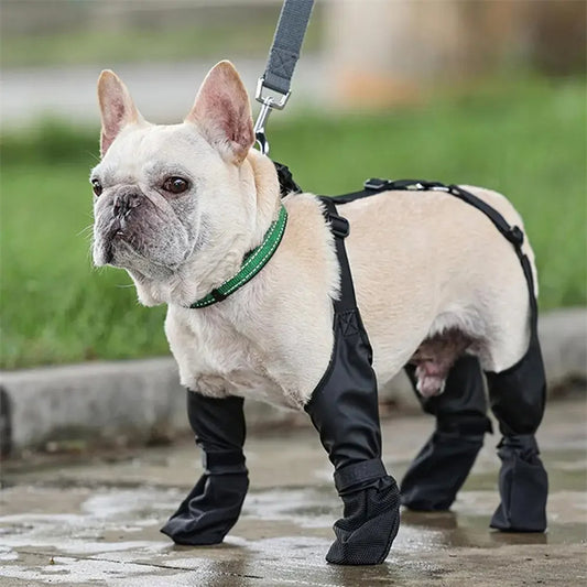 Arnés con zapatos incluidos contra agua