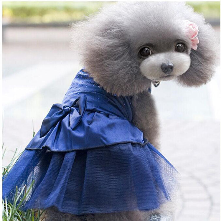 Vestido de fiesta para mascotas