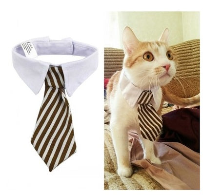 Corbata para mascotas