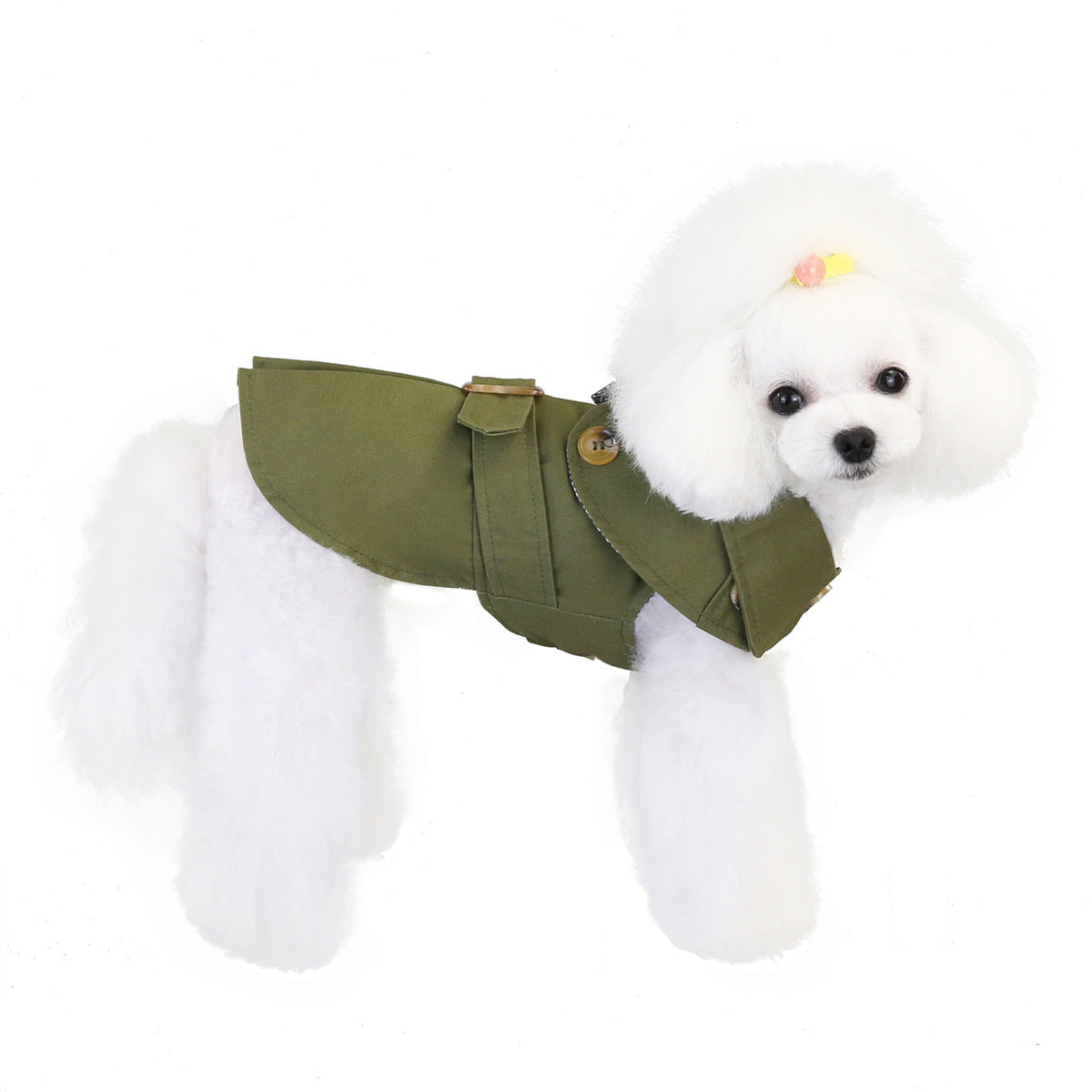 Gabardina para mascotas