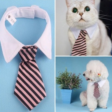 Corbata para mascotas