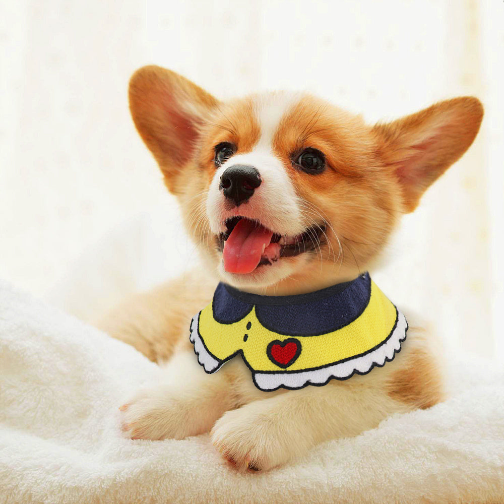 Cuellito de fantasia para mascotas
