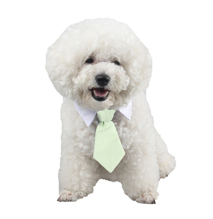 Corbata para mascotas