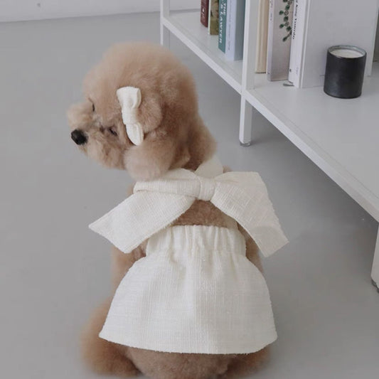 Vestido de verano para mascotas