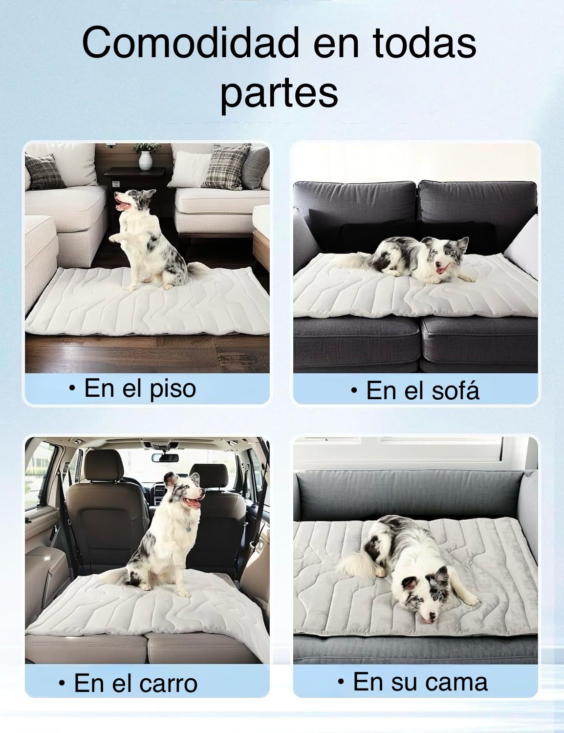 Tapete flotador para mascotas
