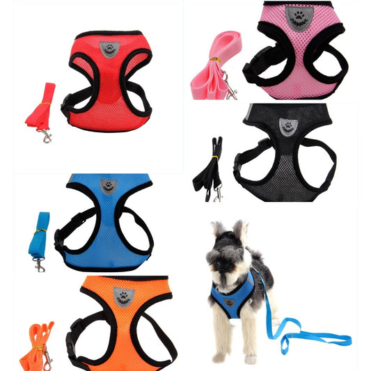 Arnés multicolores para mascotas
