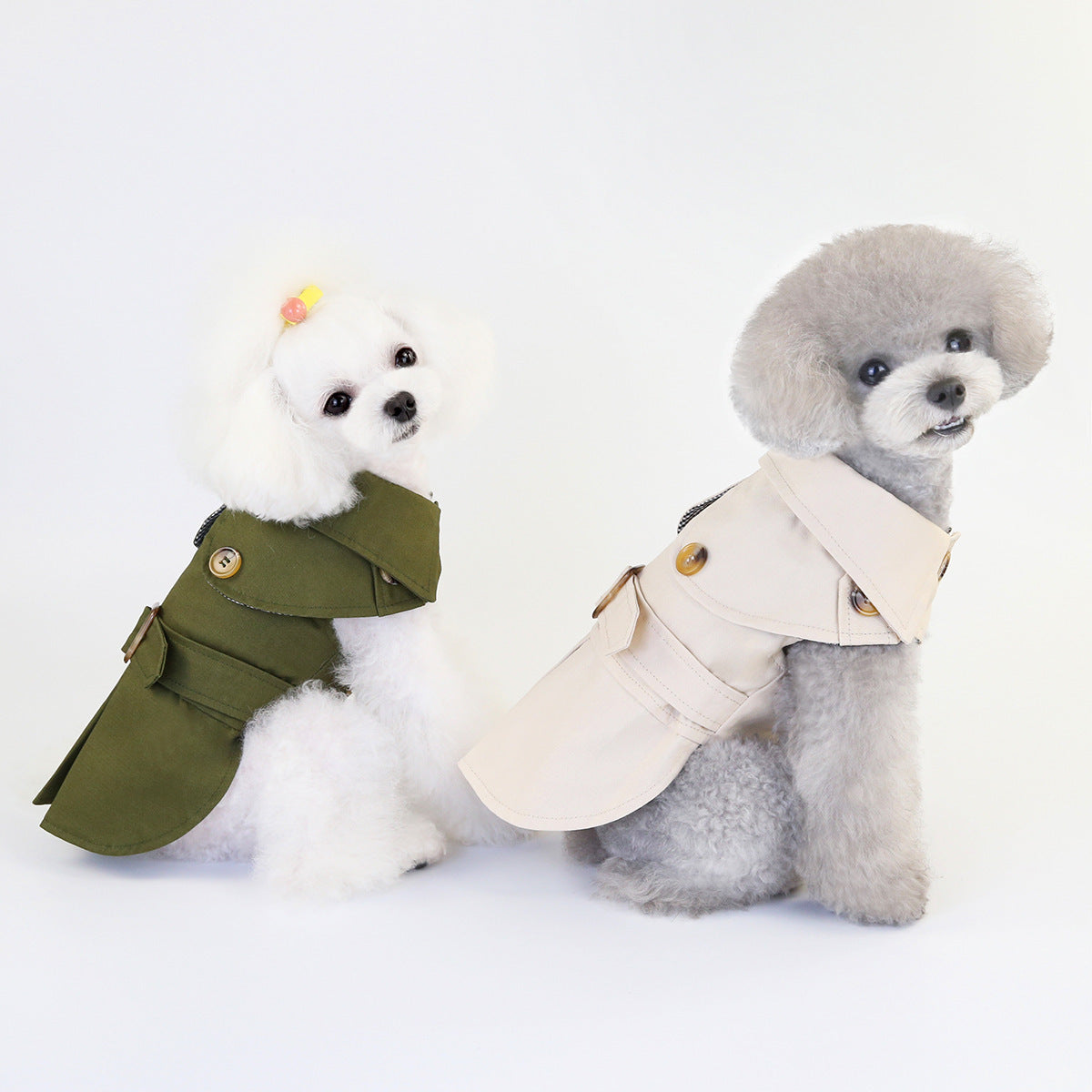 Gabardina para mascotas
