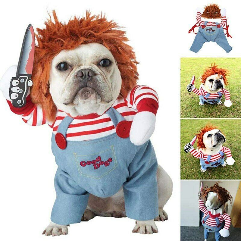 Disfraz divertido para mascota