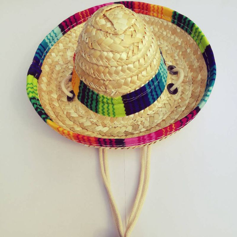 Sombrero mexicano para mascotas