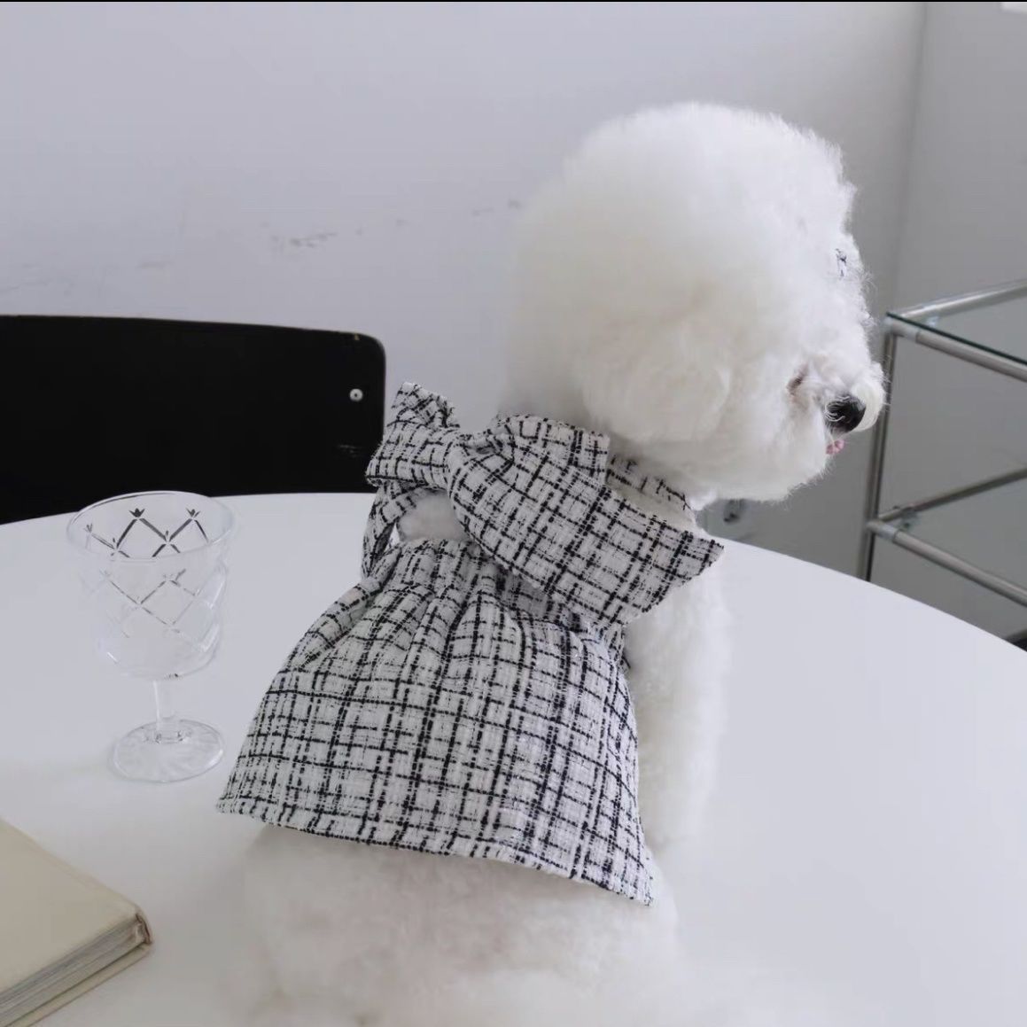 Vestido de verano para mascotas