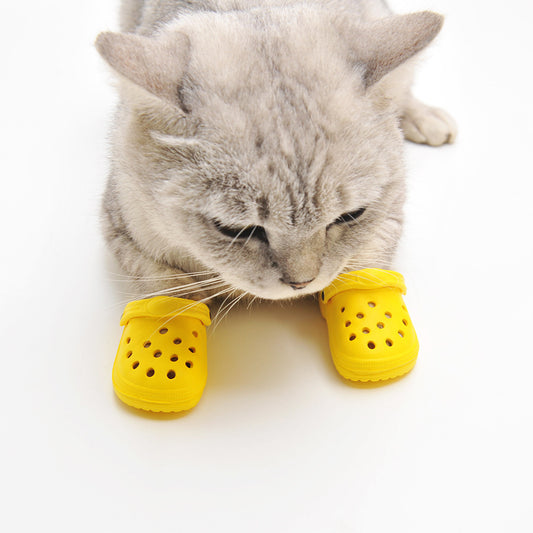 Zapatitos en tendencia de verano para mascotas