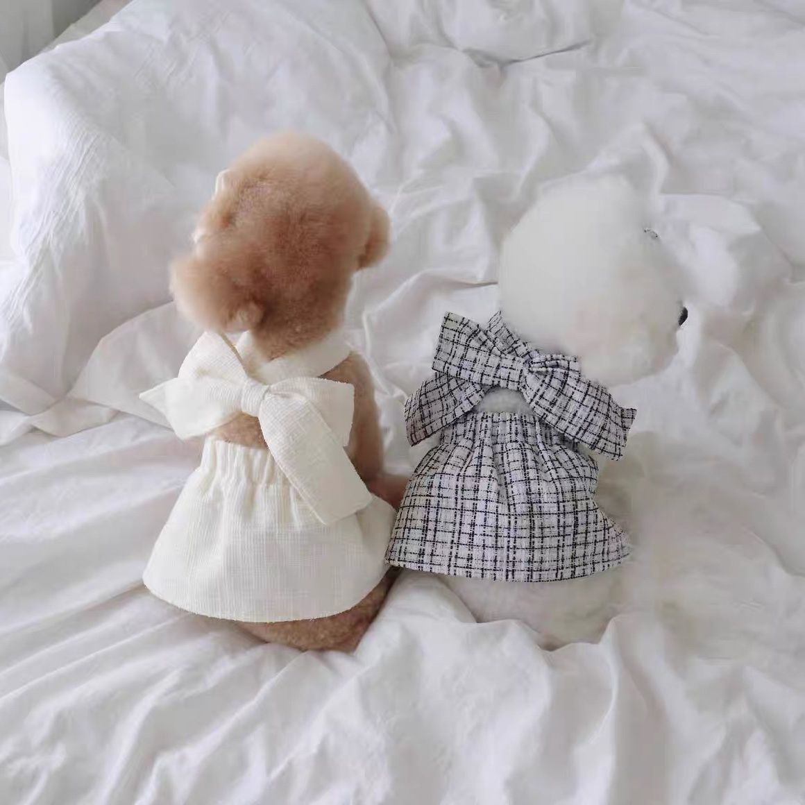 Vestido de verano para mascotas