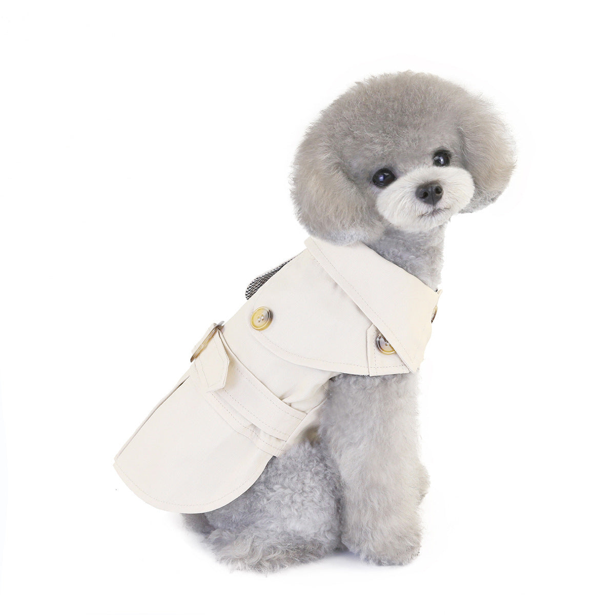 Gabardina para mascotas