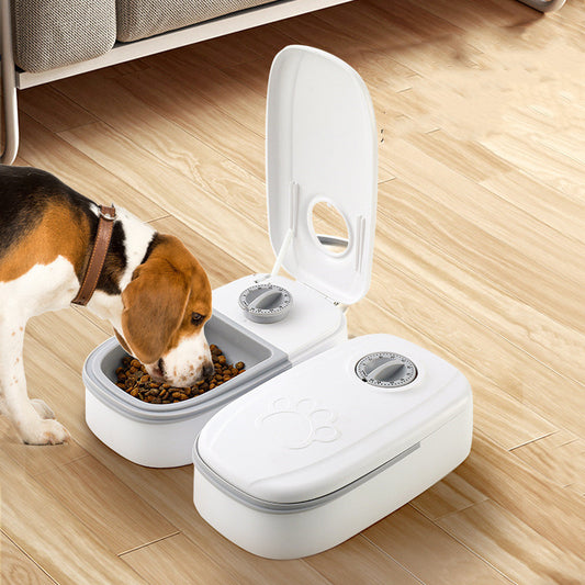 Dispensador de comida automático para mascotas