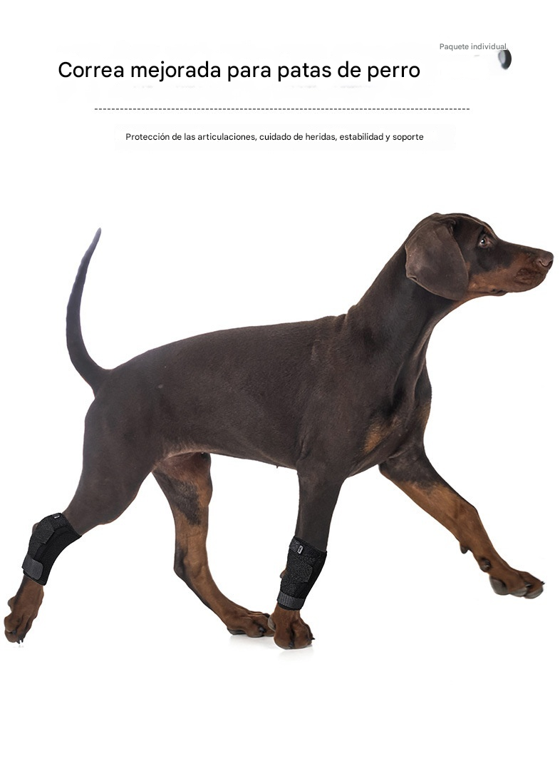 Strap auxiliar para mascotas
