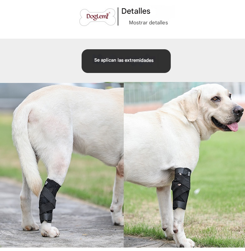 Strap auxiliar para mascotas