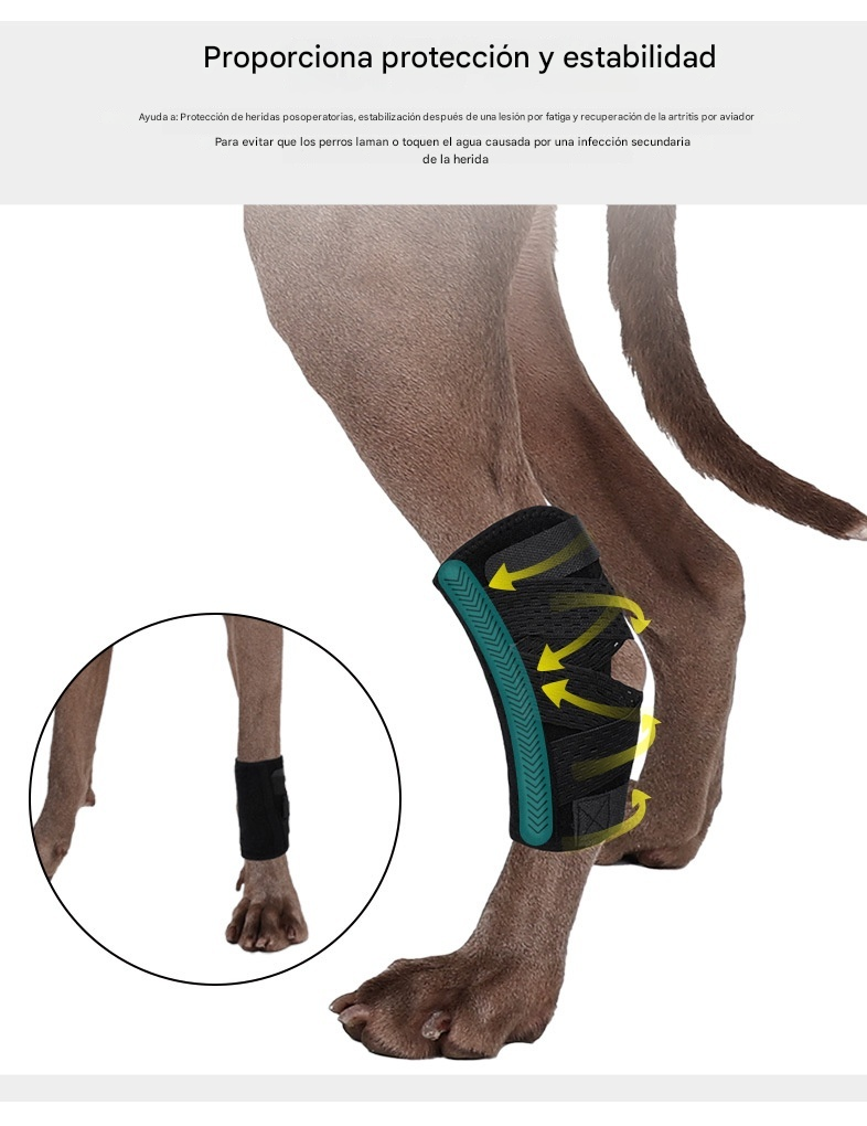 Strap auxiliar para mascotas